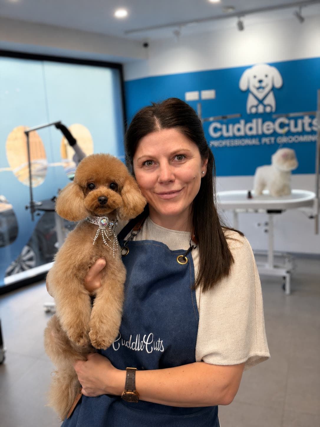 A CuddleCuts groomer holding a freshly groomed apricot toy poodle inside the salon, with the branded wall and a grooming table behind.